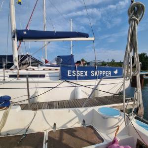 ESSEX SKIPPER