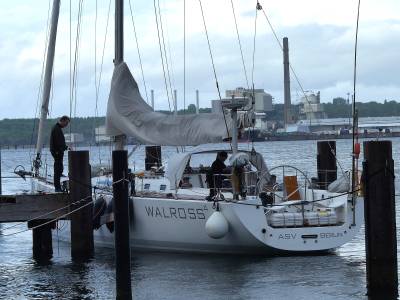 WALROSS 4