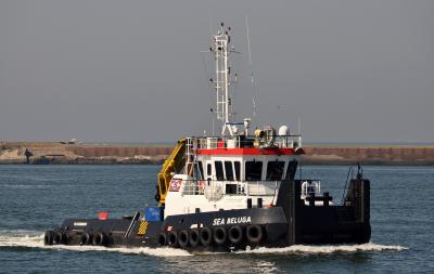 SEA BELUGA