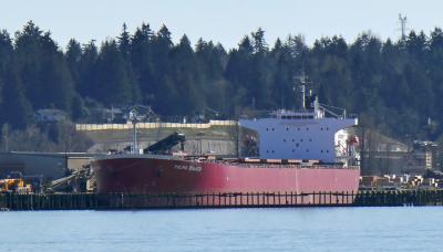 PALMA BULKER