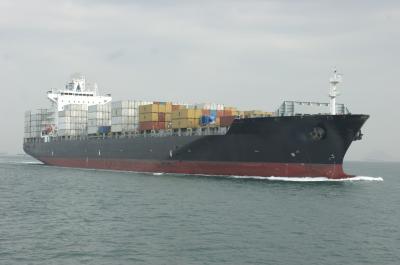 MSC VAISHNAVI R.