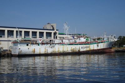 XING HUA SHENG NO. 686