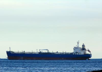 SUCCESS DALIA XLVIII