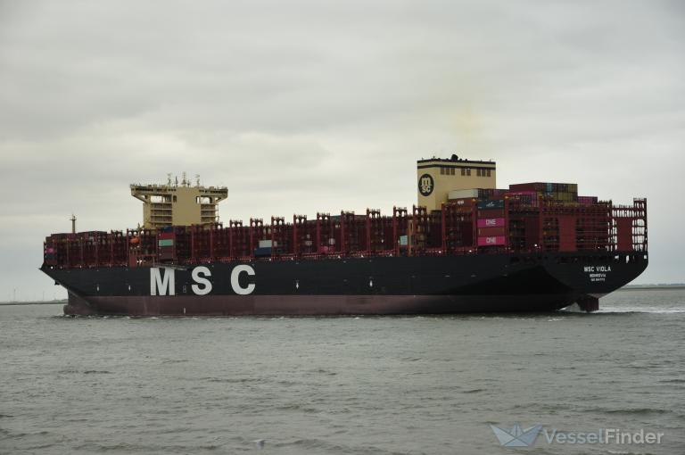 MSC VIOLA